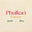 Logo von Phulkari Forever